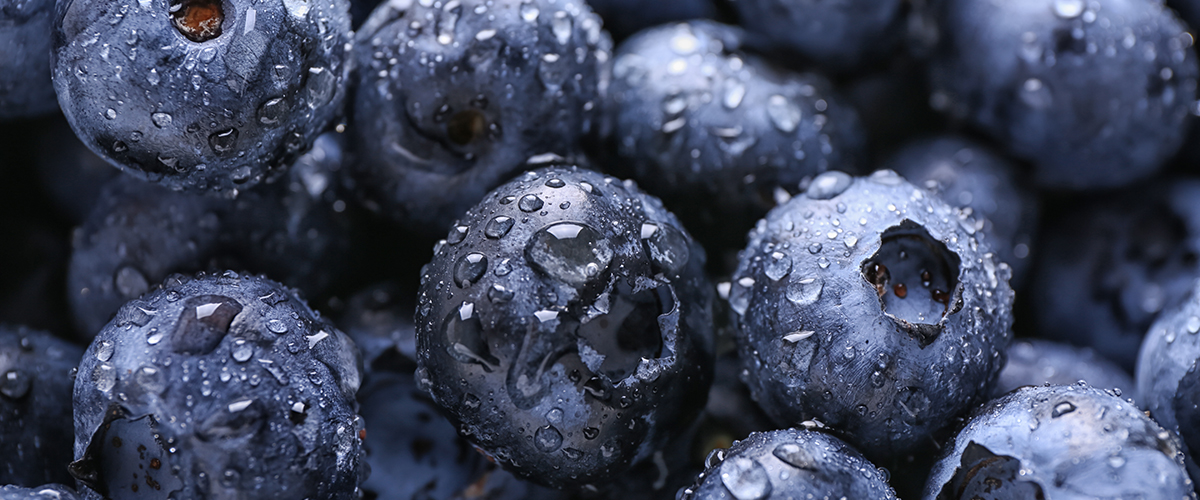 climate change banner 1200px