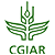 CGSpace Logo