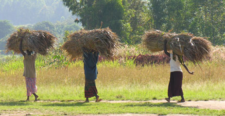 ugandan ladies