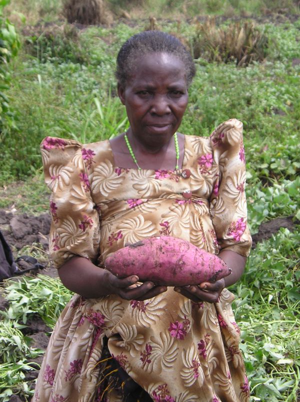 A farmer displaying a root of Tomulabula