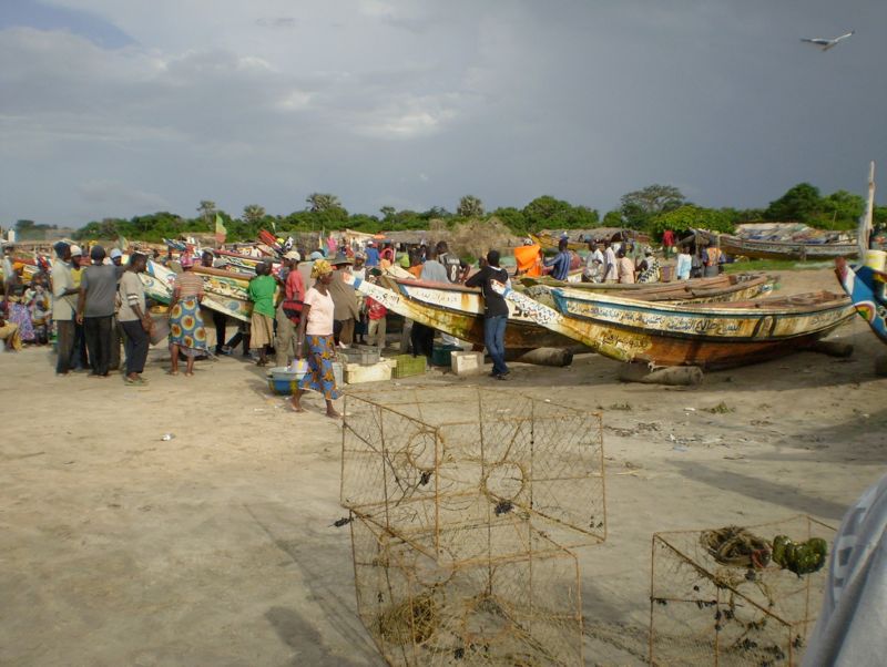 canoe-fishery-gambia full