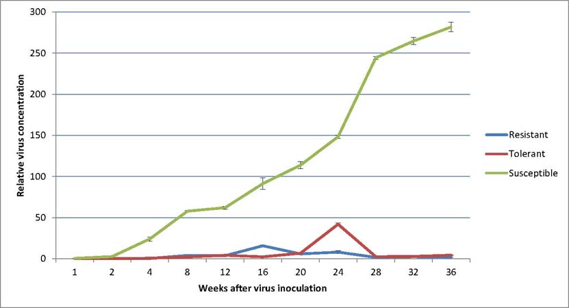 concentrations-cbsv-full