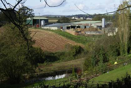 farm scene full