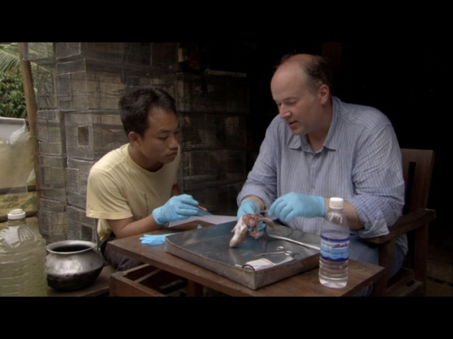 dissection full