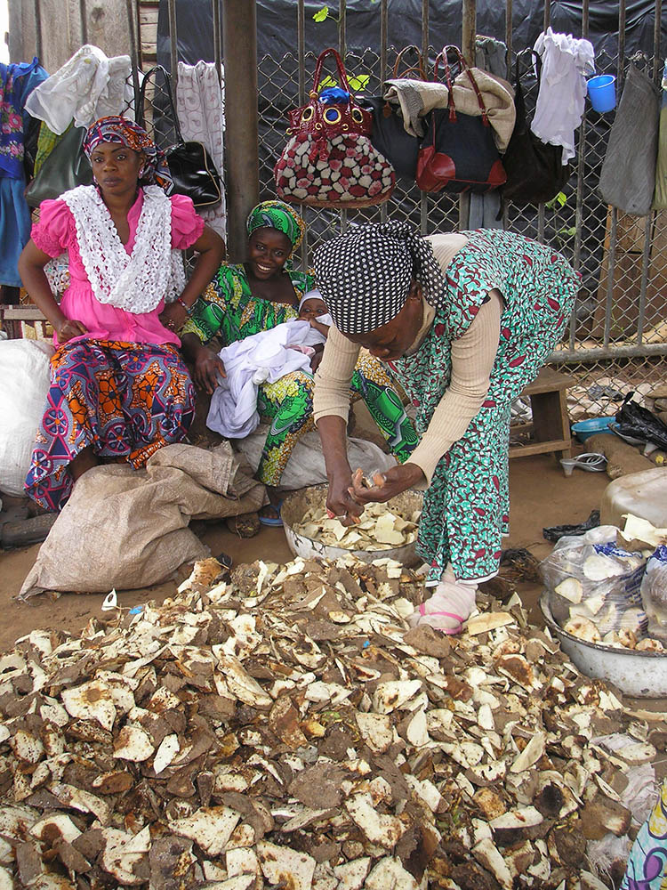 Expanding research and development on root and tuber crops