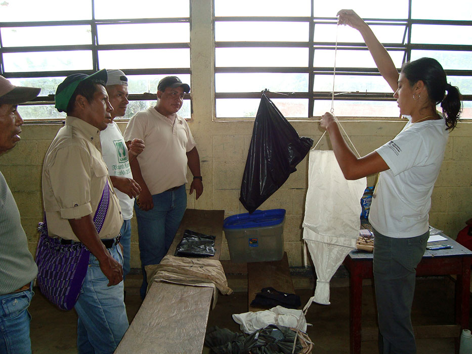 Laura Saenz training forest guards and project staff on extracting ants from litter samples using Winkler sacks