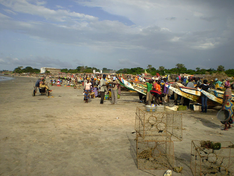 The artisanal fishing fleet Banjul