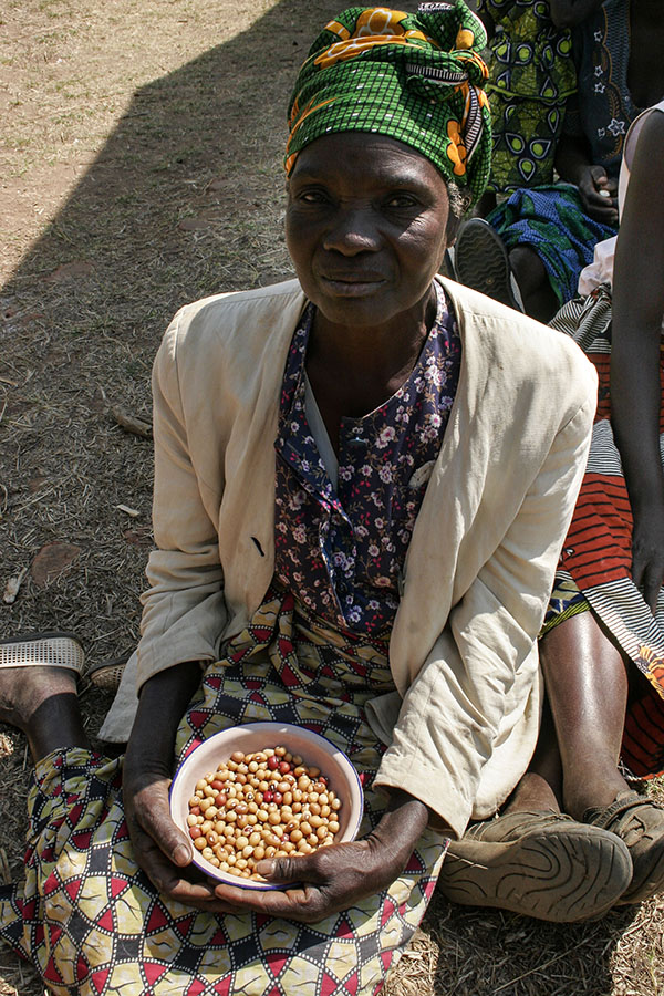 Elderly woman holding bambara groundnut in Mzimba district, Northern Malawi (Lora Forsythe 2011)