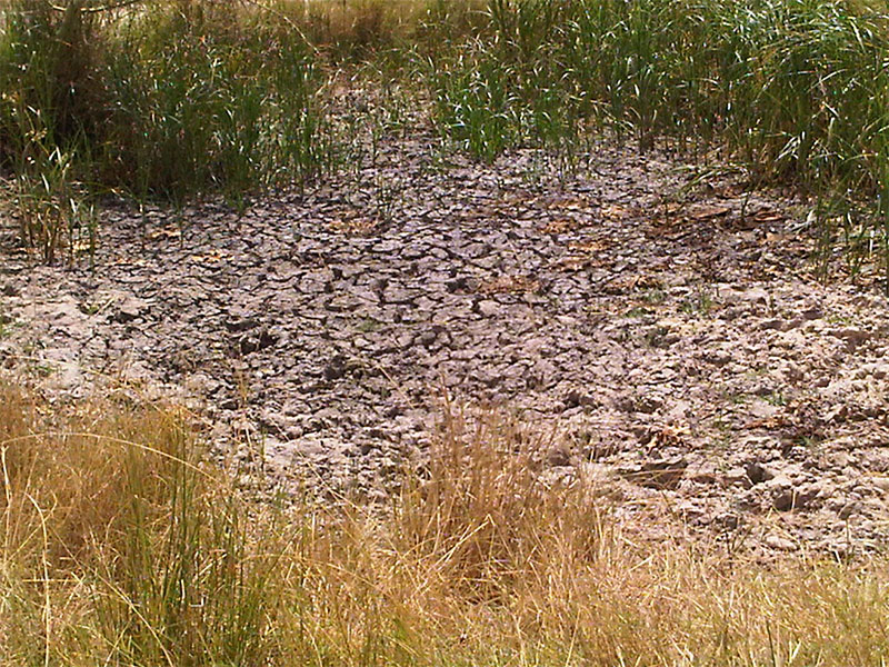 Dried up lake that served for cattle watering, Guija, Mozambique