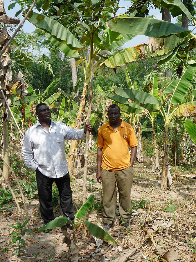 Can ecosystem services benefit smallholder cocoa farmers?