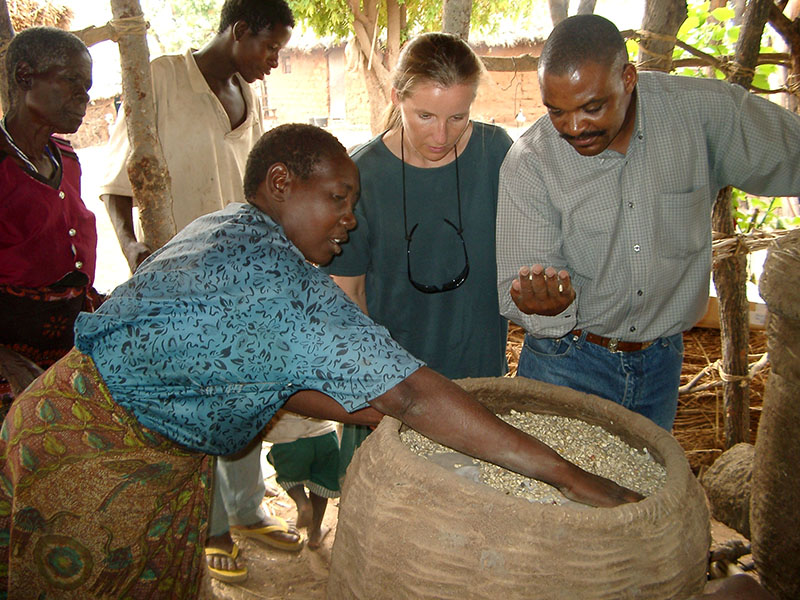 Examining stored grain in Shinyanga, Tanzania