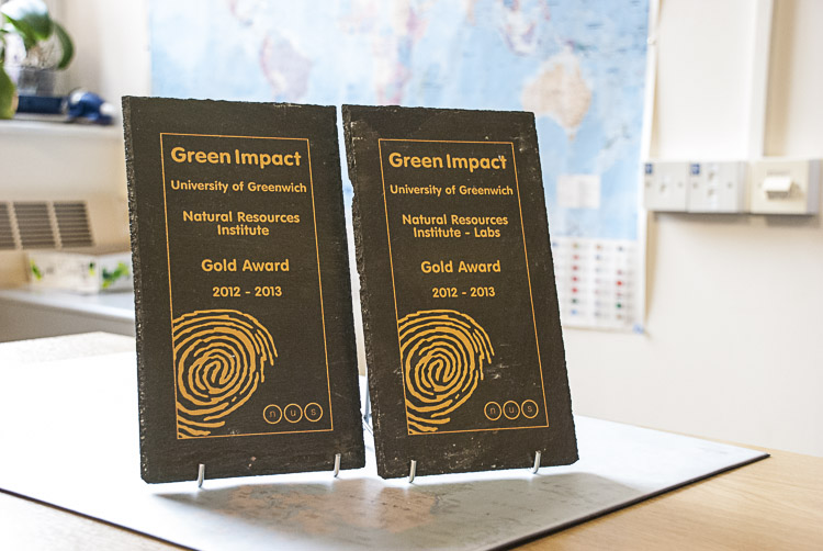 The Green Impact Awards for NRI