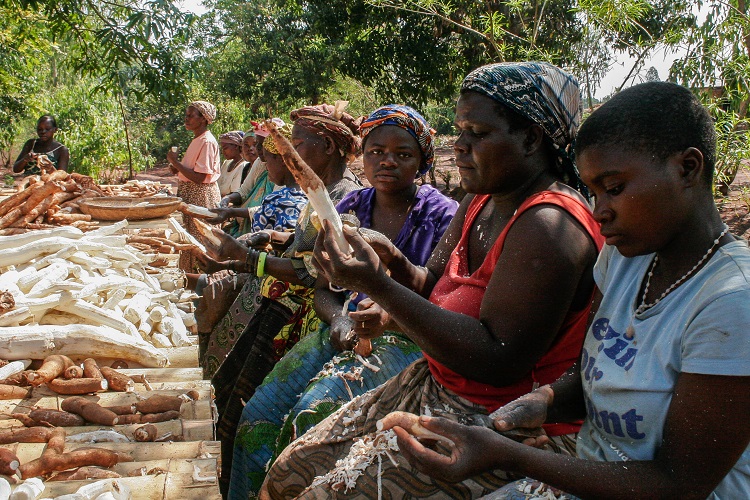 L-Forsythe cassava-peeling-750