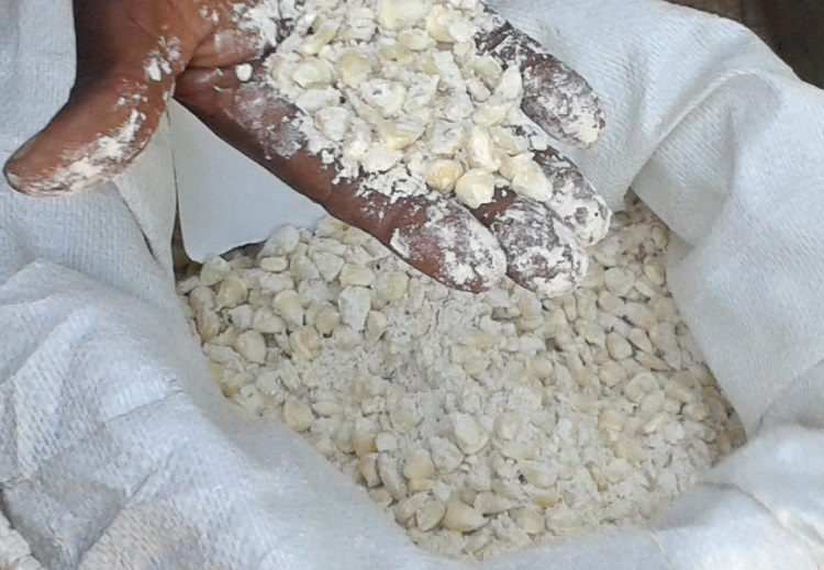 Damaged grain Malawi 2016 750