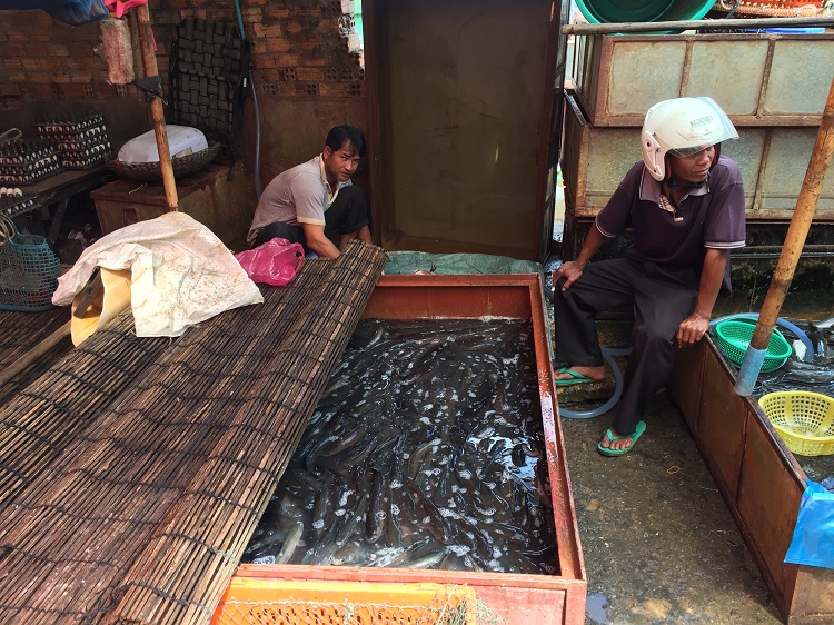 Fish market Cambodia J Linton 750