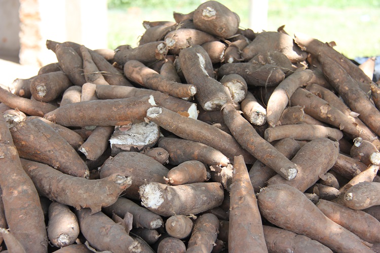13.Roots Uganda L Forsythe 750