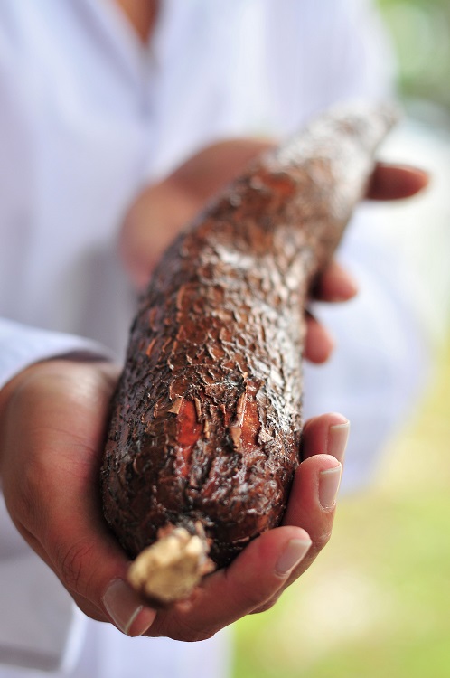 Cassava root N Palmer 750