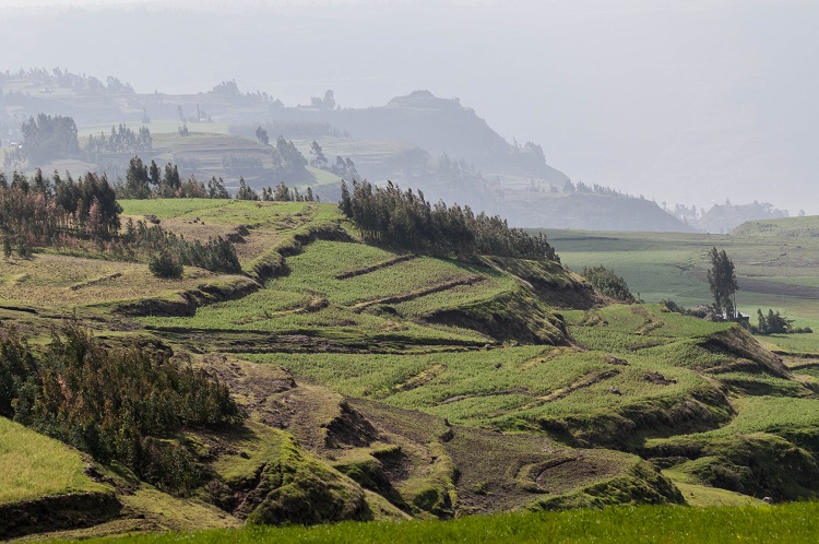 Ethiopia | Photo: Georgina Smith/CIAT