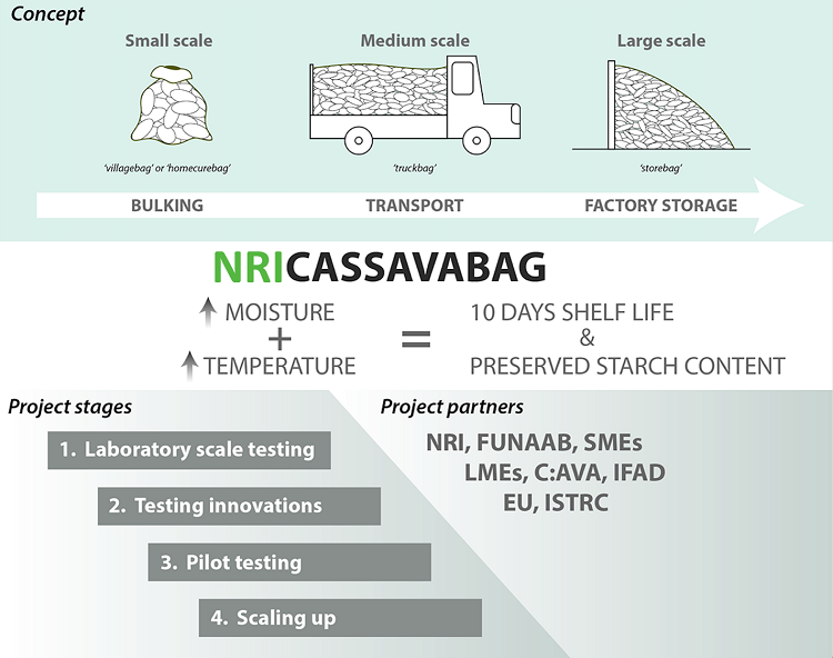 NRICassavabag1