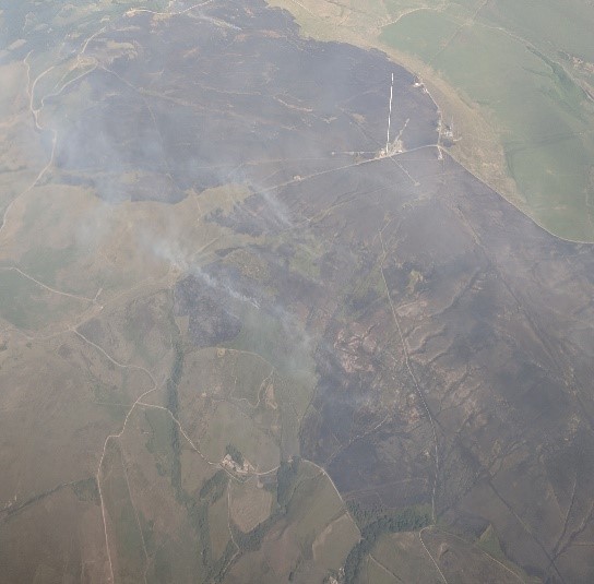 Aerial view C Walsh