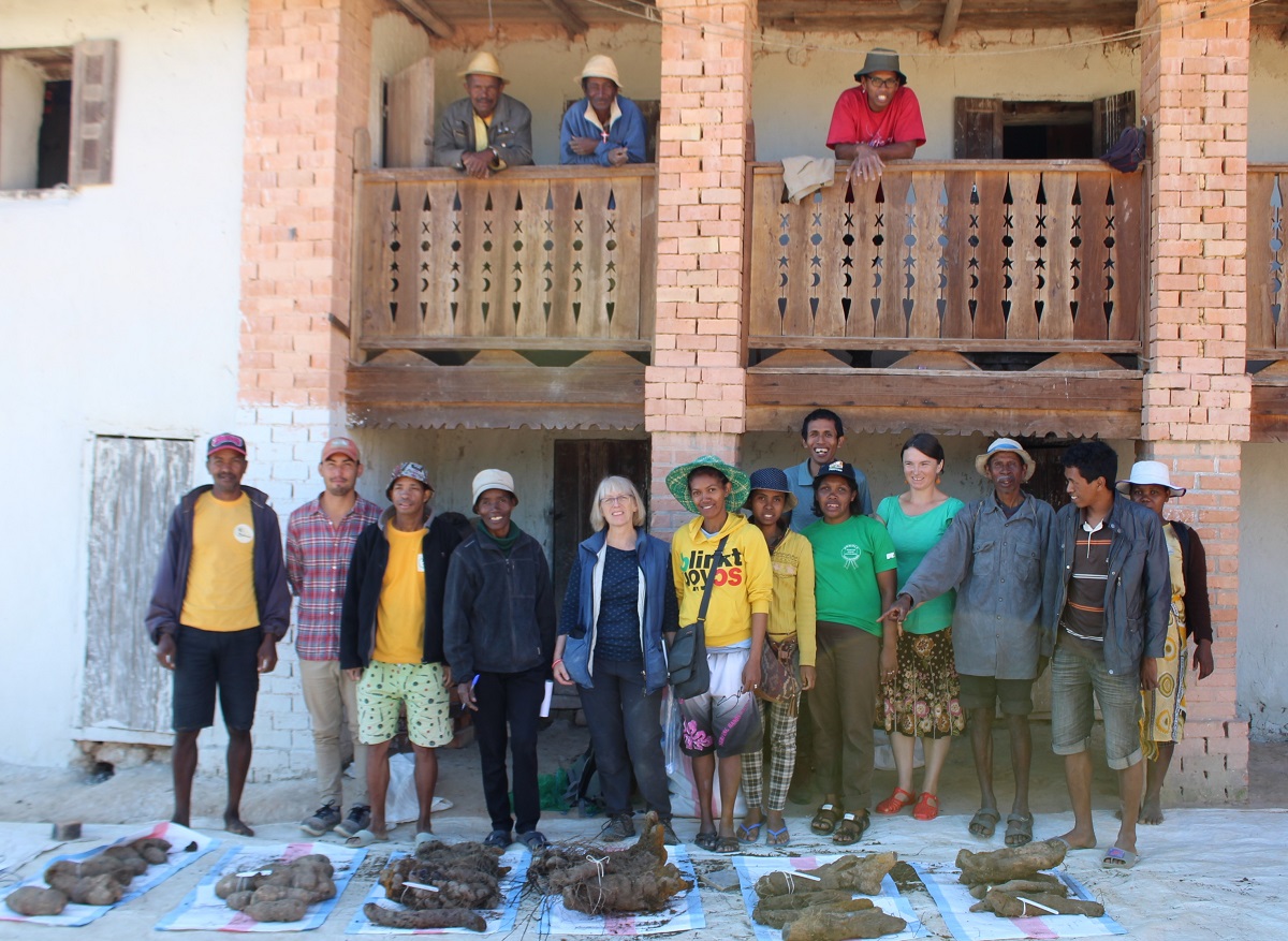 Debbie Rees carrying out experiements on Yams in Madagascar 1
