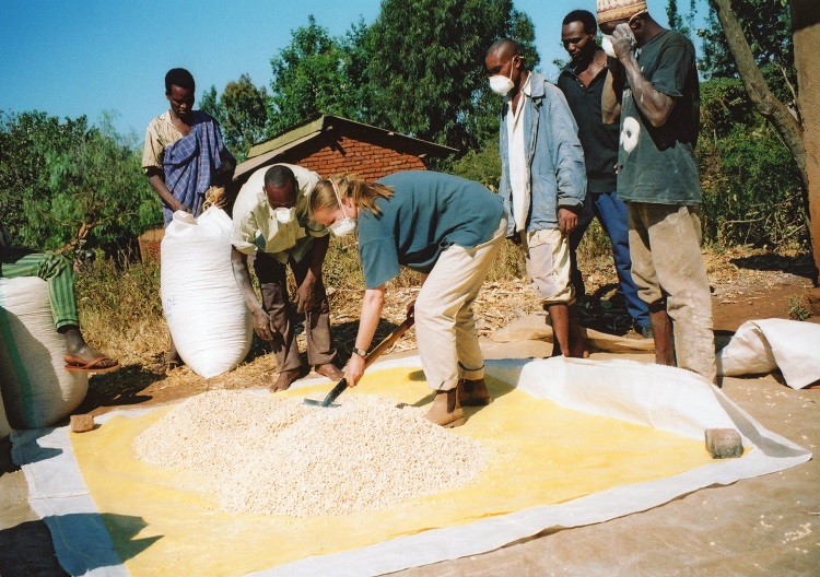 PH team maize Tanzania T Stathers 750
