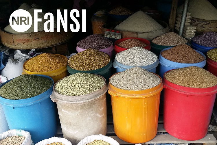 3.FaNSI Market Dar es Salaam J de Bruyn 750