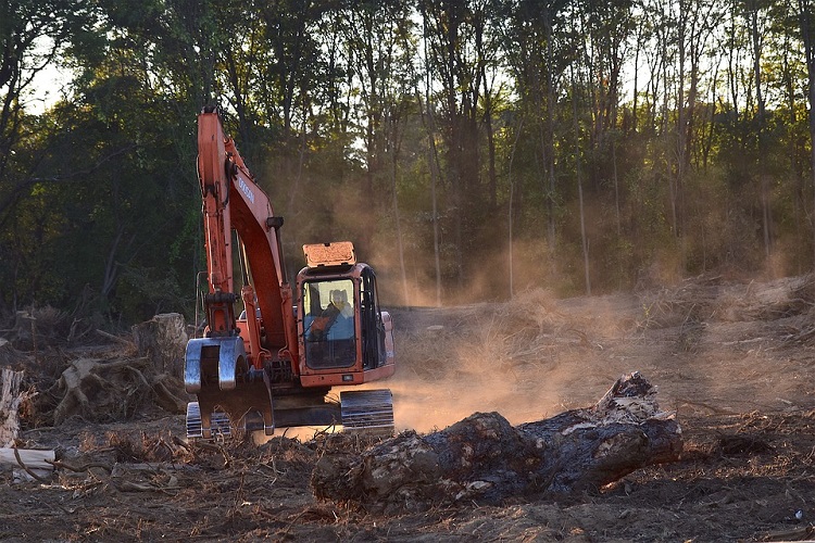 Fire amazon africa deforestation 750