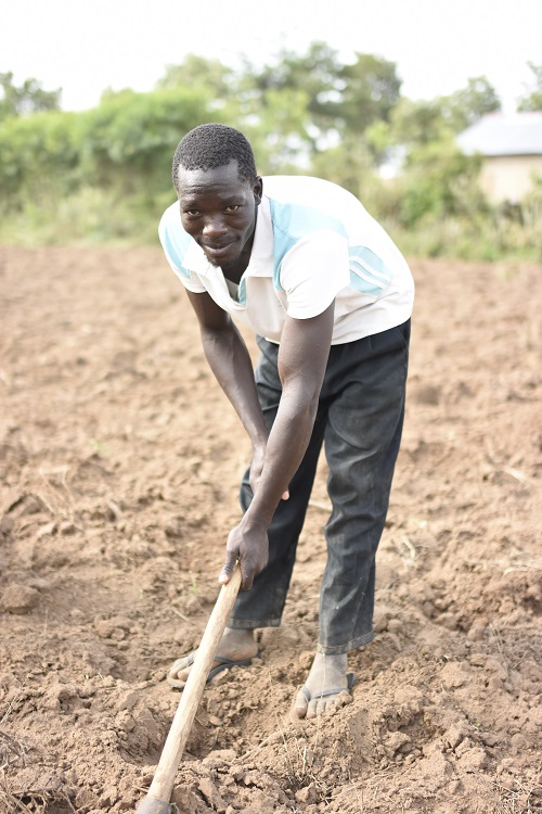 Planting cassava Uganda G Summers
