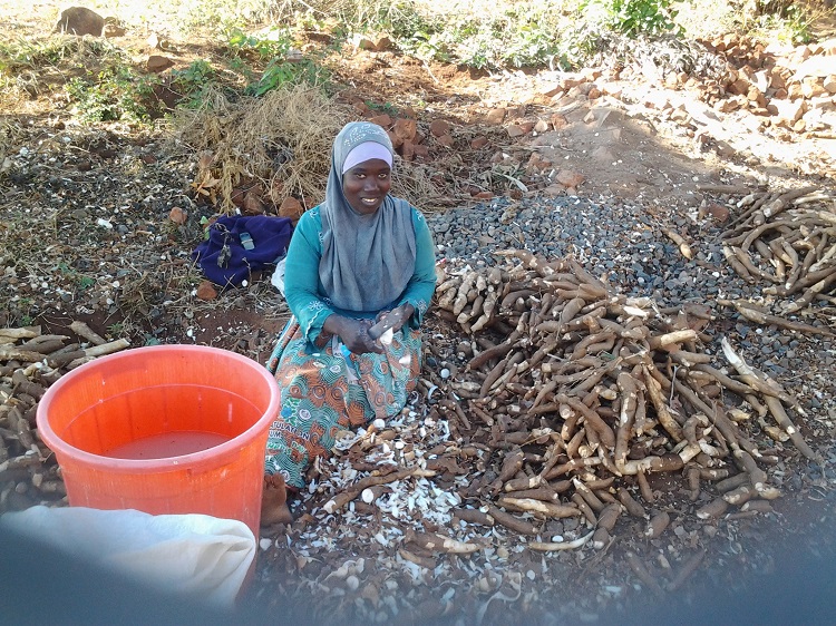 Cassava woman 750