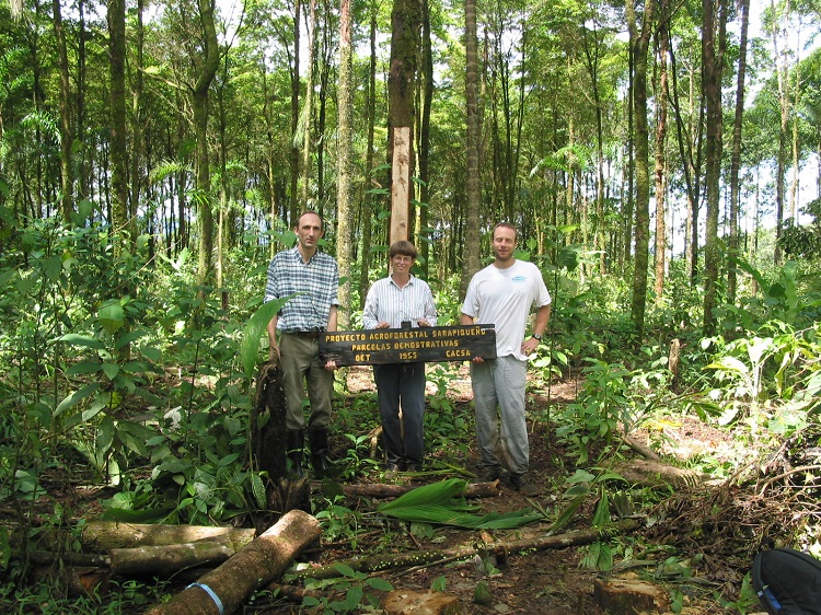 Forests jeremy 1 750