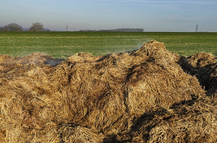 Grow manure 750