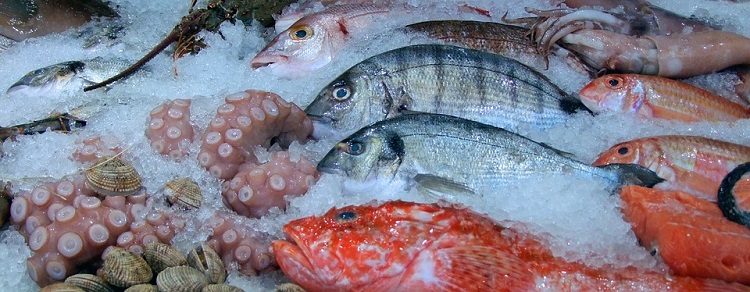 Oceans fresh fish 750