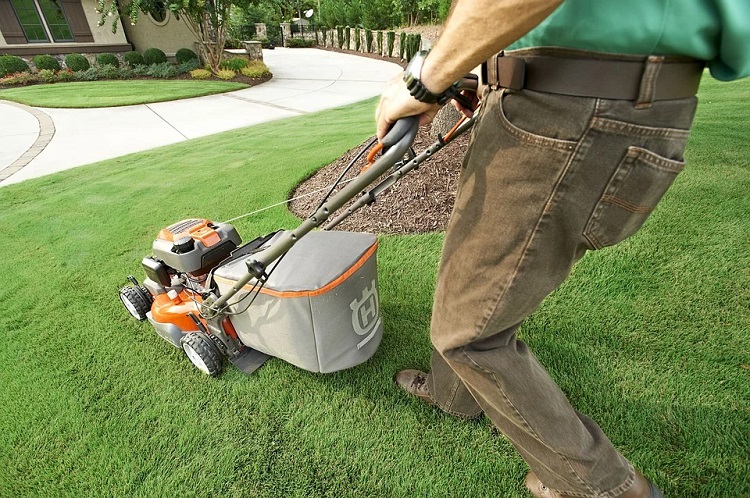 WBD lawnmower 750