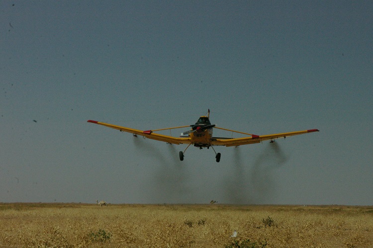 locusts plane 750