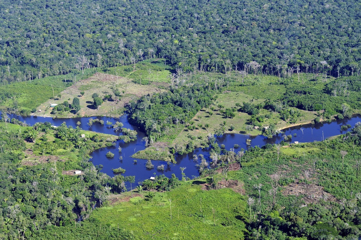 Aerial view of the Amazon Rainforest, Brazil | Photo: N Palmer/CIAT