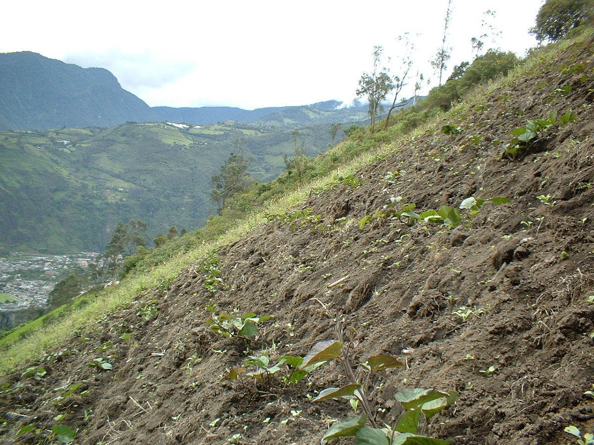 Farming on a slope in Colombia illustrates the risks when farmers are forced to grow crops on unsuitable land | Photo: T Chancellor