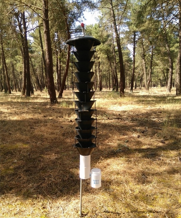 Multi-funnel trap baited with pheromone used to trap M. galloprovincialis Multi-funnel trap baited with pheromone used to trap M. galloprovincialis