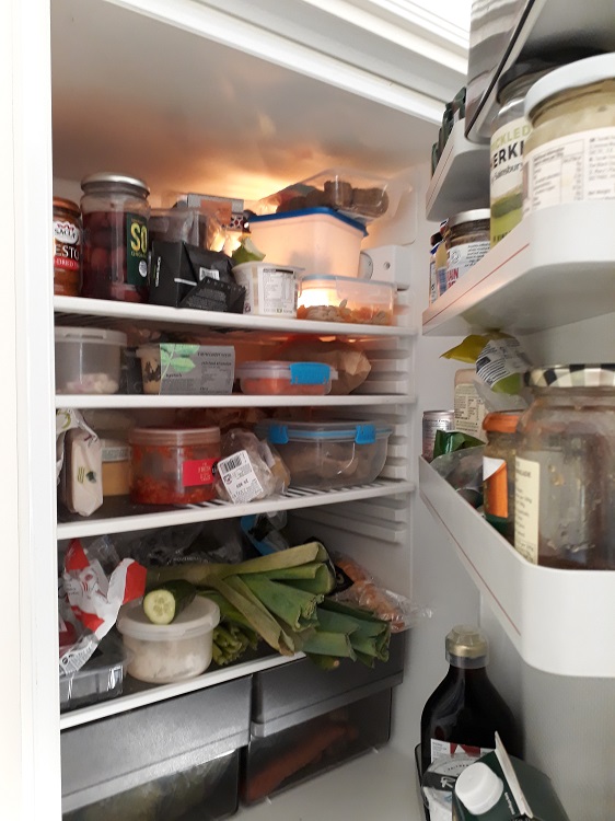Peeping inside a fridge T Stathers