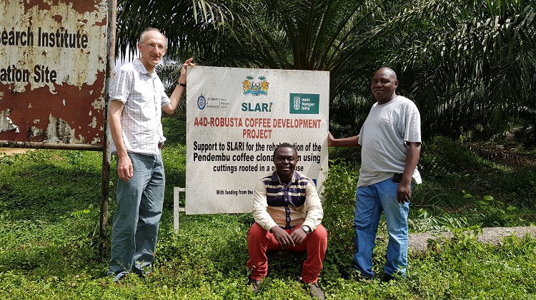 Prof Jeremy Haggar, Paul Lahai of SLARI (Sierra Leone Agricultural Research Institute) and Daniel Sarmu | Photo J Haggar From left to right: Prof Jeremy Haggar, Paul Lahai of SLARI (Sierra Leone Agricultural Research Institute) and Daniel Sarmu