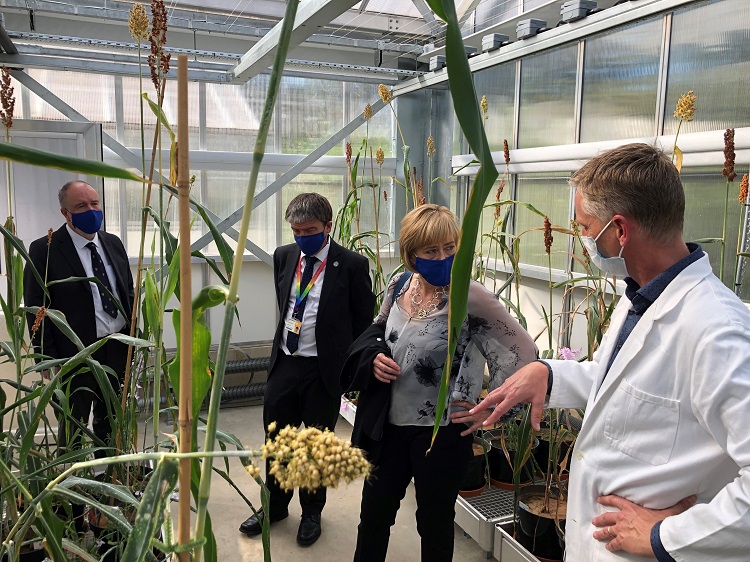 vc greenhouse jonne ben andrew 750