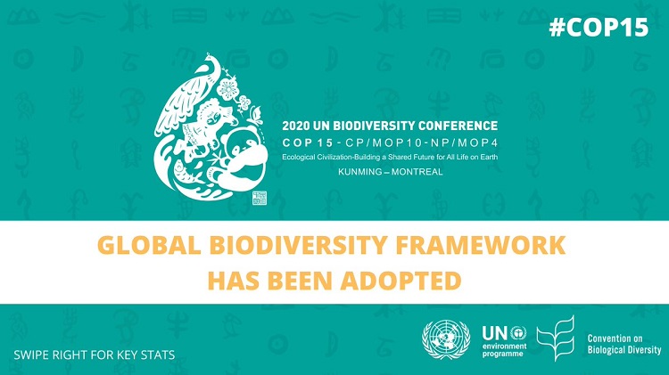 COP15 framework 750