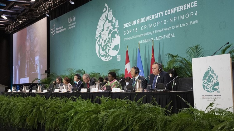COP15 panel 750