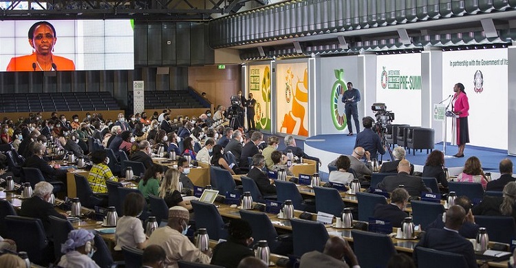 IWN un food systems summit 750