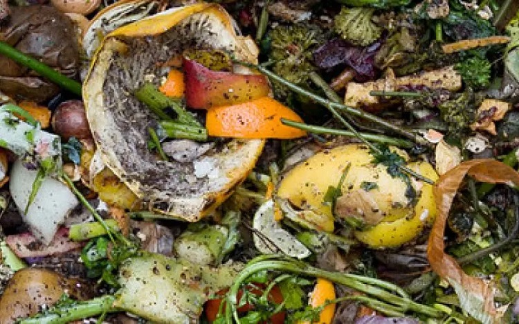 food waste 750