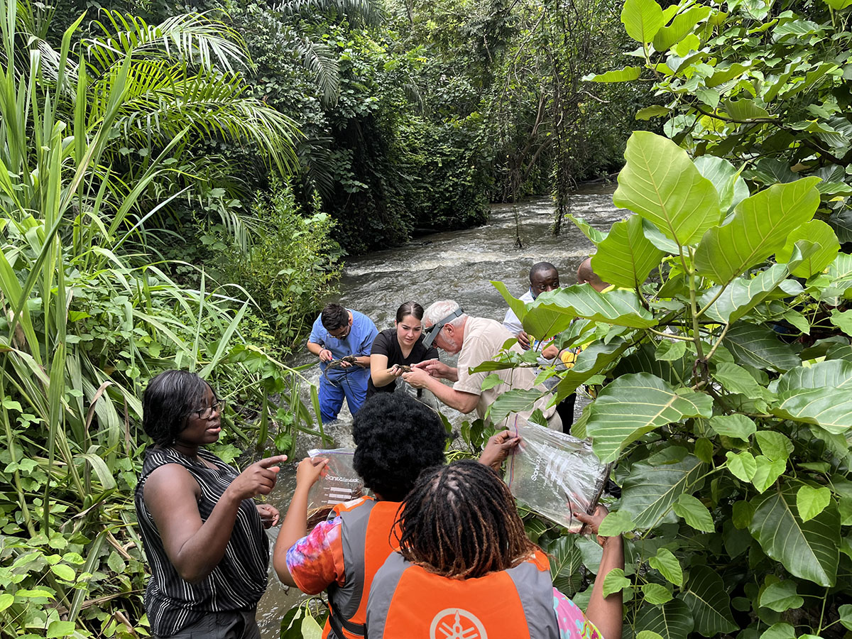 Some of the trainees and instructors searching for blackfly larvae in the shallows of Fuller Falls on River Oyoko in Ghana. The larvae attach to vegetation and rocks in fast-flowing, well-oxygenated water.