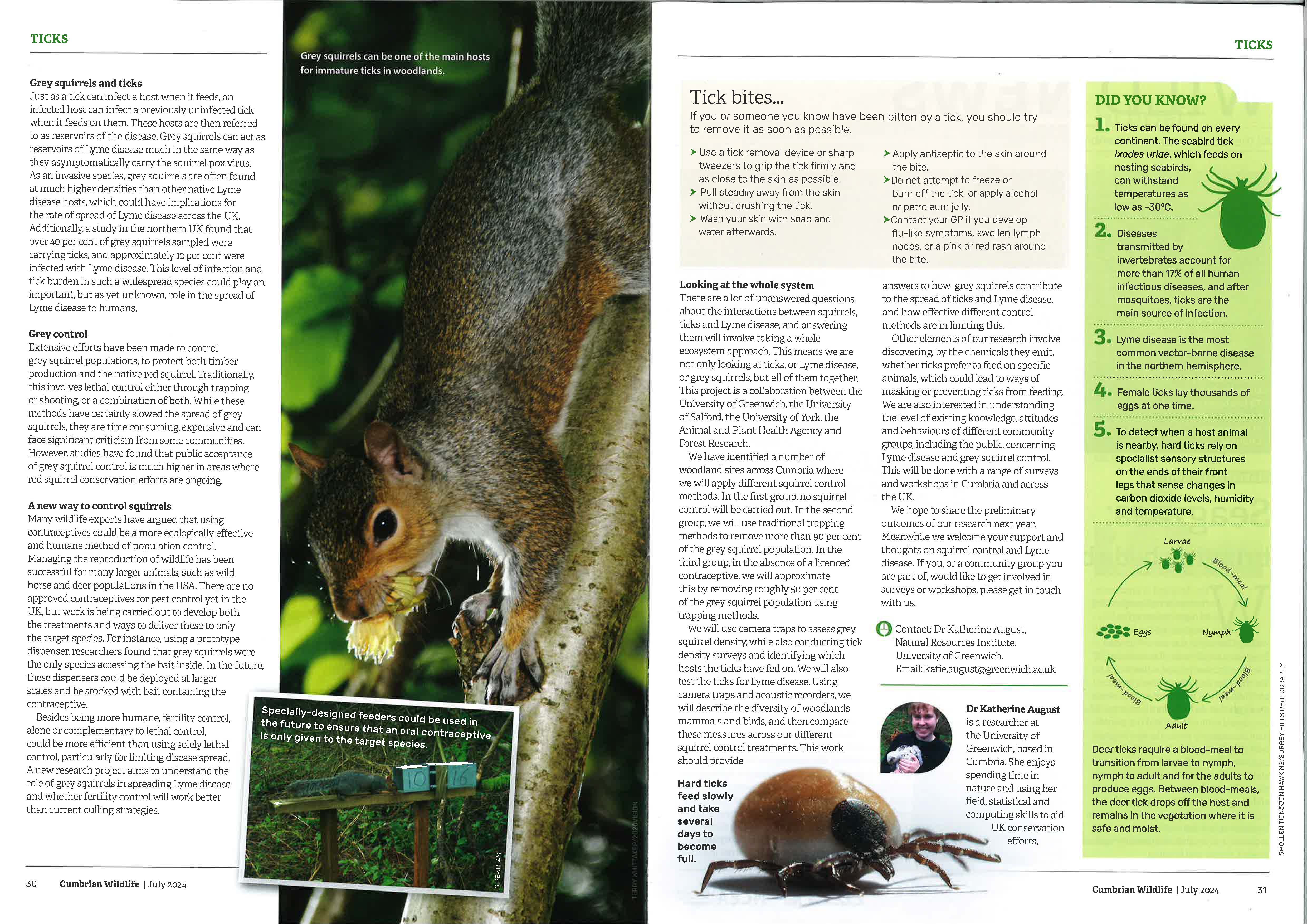 Katie August Tick Squirrel Page 2