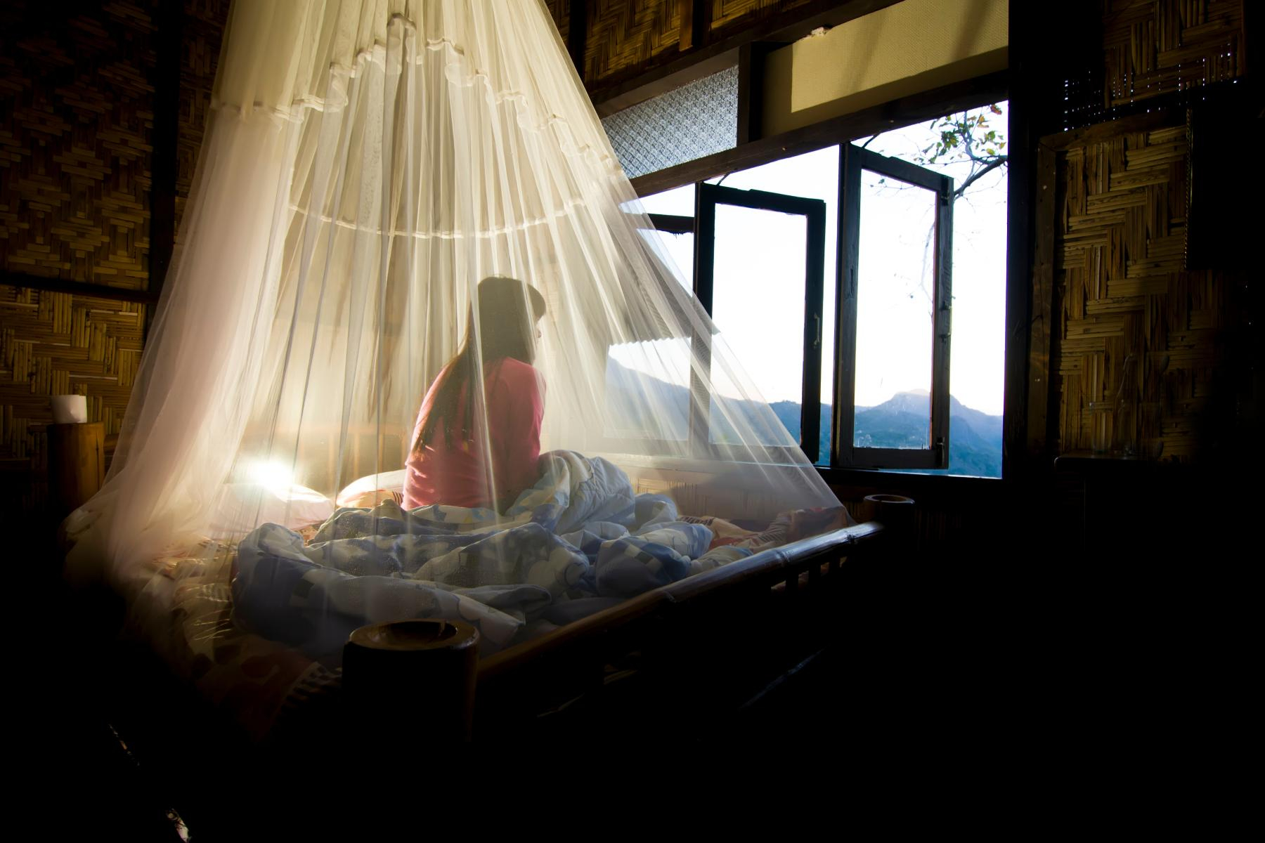 Mosquito net
