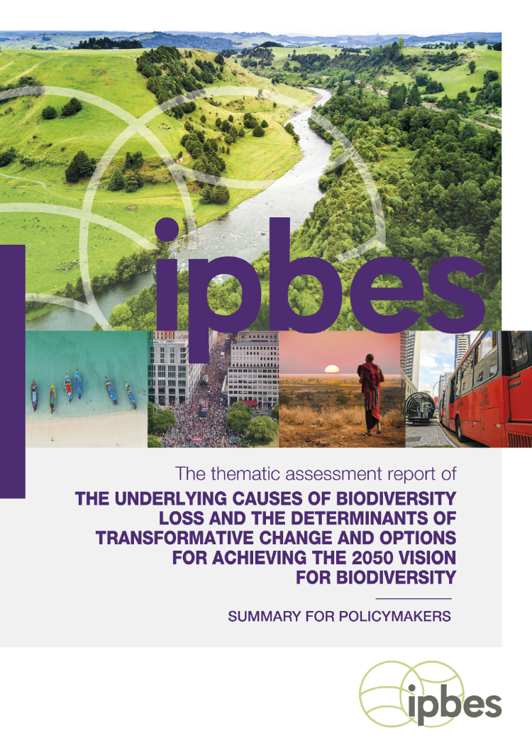 The IPBES Transformative Assessment Report
