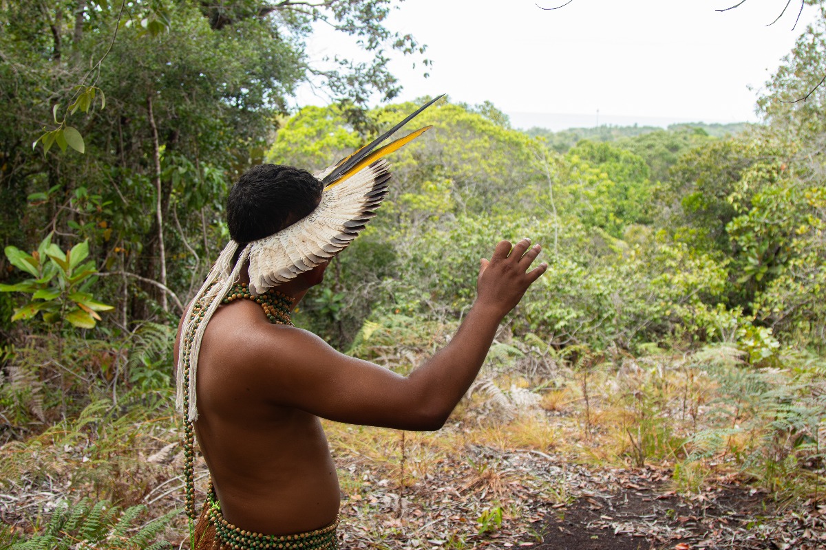 A member of an Indigenous community in Brazil. A new report calls for more meaningful integration of Indigenous perspectives in environmental governance